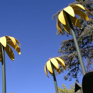 5 Sunflowers by Christopher Weed  Image: "5 Sunflowers" by Christopher Weed, 2002 (close up)