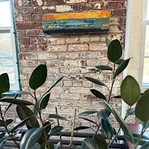 Chronicle by Heather Neilson 