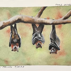 Bats by Linda Chido