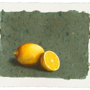 Lemons on Green by Linda Chido