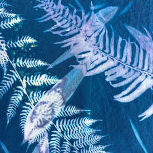 Sword and Lady Fern Cyanotype Silk Scarf by Nanette Moss 