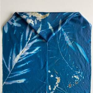 Fireweed and Ocean Spray Cyanotype Silk Scarf by Nanette Moss 