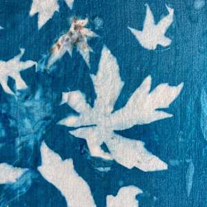 Sweetgum 2 Cyanotype Silk Square Scarf by Nanette Moss 