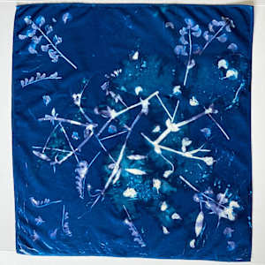 Sweet Pea 2 Cyanotype Organic Cotton Square Scarf by Nanette Moss 