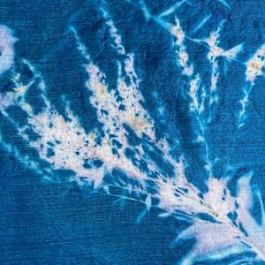 Wildflower Cyanotype Silk Square Scarf by Nanette Moss 