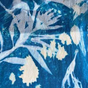 Daylily and Alstroemeria Cyanotype Silk Scarf by Nanette Moss 