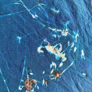 Fireweed and Ocean Spray Cyanotype Silk Scarf by Nanette Moss 