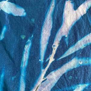 Fireweed and Ocean Spray Cyanotype Silk Scarf by Nanette Moss 