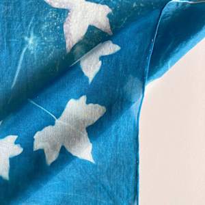 Ivy Cyanotype Silk Scarf by Nanette Moss 