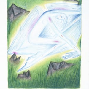Stranger Bird by Audra Skuodas  Image: Page 22