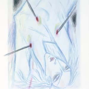 Stranger Bird by Audra Skuodas  Image: Drawing on Vellum: No page number (between pages 37 and 38)