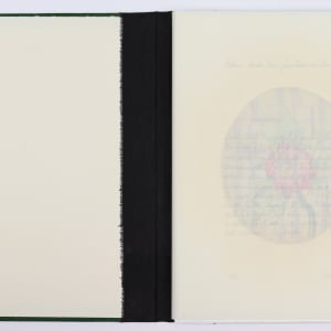 Nature Cloaks Her Function in Beauty (2) by Audra Skuodas  Image: Inside Front Spread
