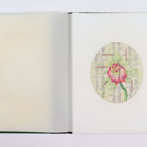 Nature Cloaks Her Function in Beauty (2) by Audra Skuodas  Image: Page one overlay spread