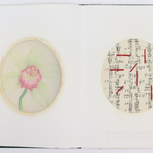 Nature Cloaks Her Function in Beauty (2) by Audra Skuodas  Image: Page one open spread
