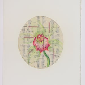 Nature Cloaks Her Function in Beauty (2) by Audra Skuodas  Image: Page one overlay