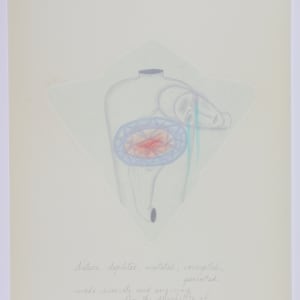 Inversion Reversion Perversion by Audra Skuodas  Image: Page 18 underlay