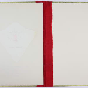Inversion Reversion Perversion by Audra Skuodas  Image: Back page spread