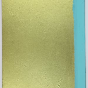 Nature Cloaks Her Function in Beauty (1) by Audra Skuodas  Image: Back cover