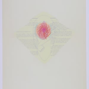 Nature Cloaks Her Function in Beauty (1) by Audra Skuodas  Image: Page one (overlay)