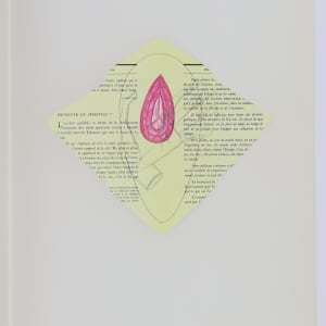 Nature Cloaks Her Function in Beauty (1) by Audra Skuodas  Image: Page 2 (underlay)