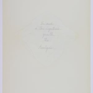 Nature Cloaks Her Function in Beauty (1) by Audra Skuodas  Image: Page 2.5 (The seed is the synthesis.  Growth the analysis)