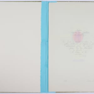 Nature Cloaks Her Function in Beauty (1) by Audra Skuodas  Image: Title page spread