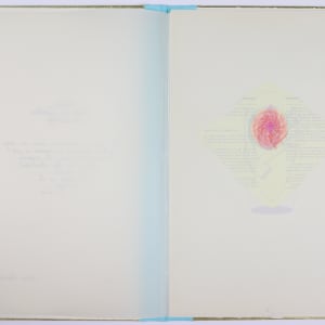 Nature Cloaks Her Function in Beauty (1) by Audra Skuodas  Image: Page 1 spread (overlay)