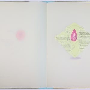 Nature Cloaks Her Function in Beauty (1) by Audra Skuodas  Image: Page 2 spread (underlay)