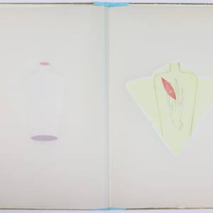 Nature Cloaks Her Function in Beauty (1) by Audra Skuodas  Image: Page 4 spread (underlay)