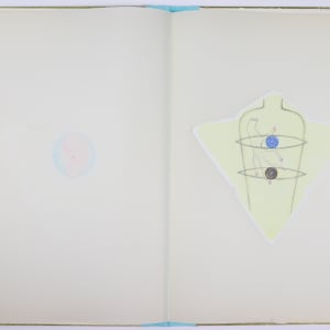 Nature Cloaks Her Function in Beauty (1) by Audra Skuodas  Image: Page 6 spread (underlay)