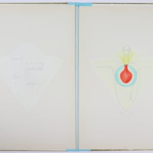 Nature Cloaks Her Function in Beauty (1) by Audra Skuodas  Image: Page 9 spread (overlay)