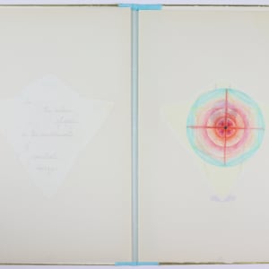 Nature Cloaks Her Function in Beauty (1) by Audra Skuodas  Image: Page 11 spread (overlay)