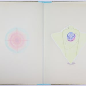 Nature Cloaks Her Function in Beauty (1) by Audra Skuodas  Image: Page 12 spread (underlay)
