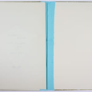 Nature Cloaks Her Function in Beauty (1) by Audra Skuodas  Image: Back inside cover