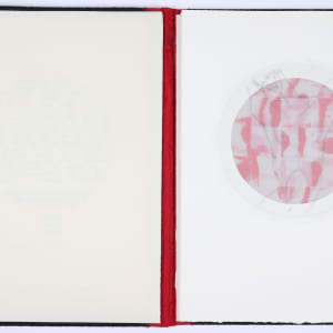 The Greatest Evil is the Anesthetized Heart by Audra Skuodas  Image: Page 1 spread (overlay)