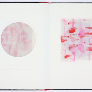 The Greatest Evil is the Anesthetized Heart by Audra Skuodas  Image: Page 4 spread (underlay)
