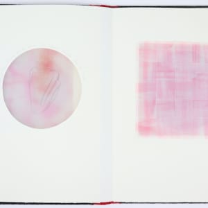 The Greatest Evil is the Anesthetized Heart by Audra Skuodas  Image: Page 6 spread (underlay)