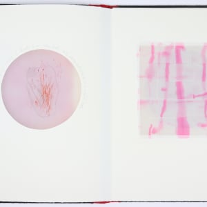 The Greatest Evil is the Anesthetized Heart by Audra Skuodas  Image: Page 8 spread (underlay)
