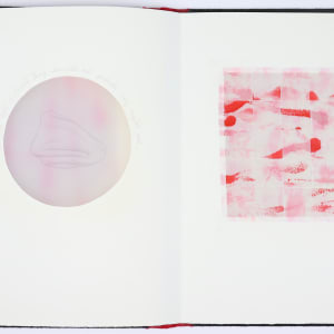 The Greatest Evil is the Anesthetized Heart by Audra Skuodas  Image: Page 10 spread (underlay)