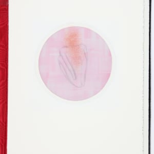 The Greatest Evil is the Anesthetized Heart by Audra Skuodas  Image: Page 5 (overlay)