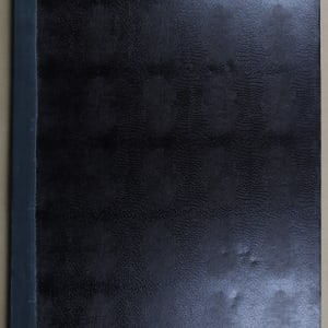 Untitled (Artist Book) by Audra Skuodas  Image: Back Cover