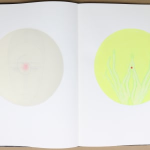 Untitled (Artist Book) by Audra Skuodas  Image: Page 2 underlay