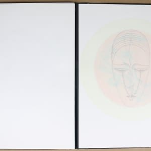 Untitled (Artist Book) by Audra Skuodas  Image: Page 13 overlay
