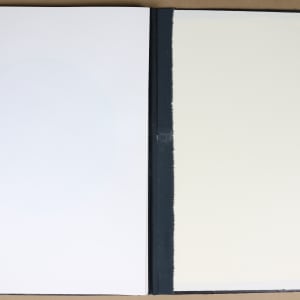 Untitled (Artist Book) by Audra Skuodas  Image: Back page spread