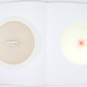 Vibrational Cosmos by Audra Skuodas  Image: Page 10 Underlay