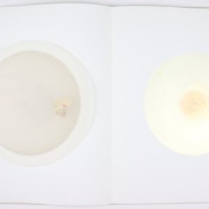 Vibrational Cosmos by Audra Skuodas  Image: Page 2 Underlay