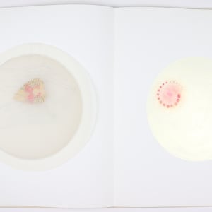 Vibrational Cosmos by Audra Skuodas  Image: Page 4 Underlay