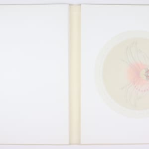 Vibrational Cosmos by Audra Skuodas  Image: Page 5 Overlay
