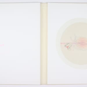 Vibrational Cosmos by Audra Skuodas  Image: Page 7 Overlay