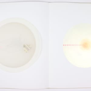 Vibrational Cosmos by Audra Skuodas  Image: Page 8 Underlay